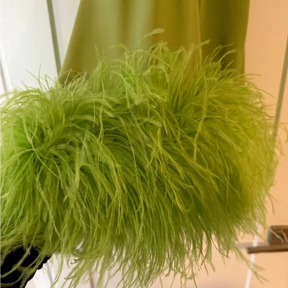 green emerald velvet dress Shiny Stripes Plumage Dress main image 1